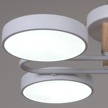 03322-0.3-08 WH+WOOD светильник потолочный