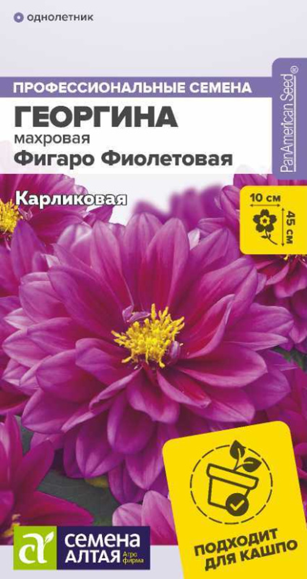 Георгина Фигаро Фиолетовая махровая/Сем Алт/цп 5 шт.
