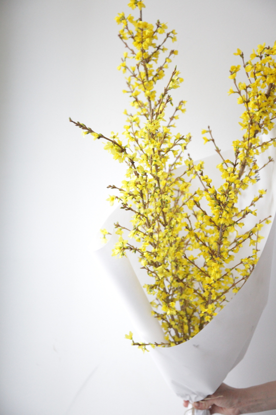 Монобукет Форзиция