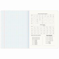 Тетради предметные, КОМПЛЕКТ 12 ПРЕДМЕТОВ, "BRIGHT COLOURS", 48 л., матовая ламинация, лак, BRAUBERG, 404838