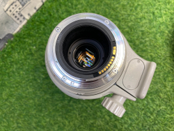 Canon EF 100-400mm 4.5-5.6L IS USM