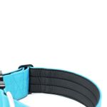 Ошейник Combat 5 см BullyBillows