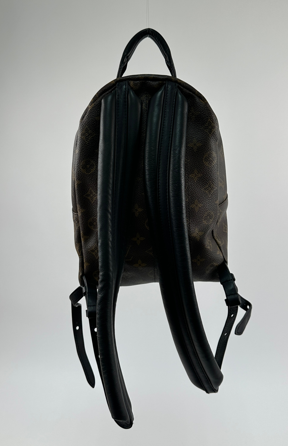 Рюкзак Louis Vuitton Palm Springs Mini