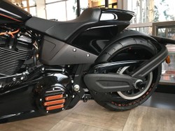 Harley-Davidson® Softail® FXDR™ 114, 2019