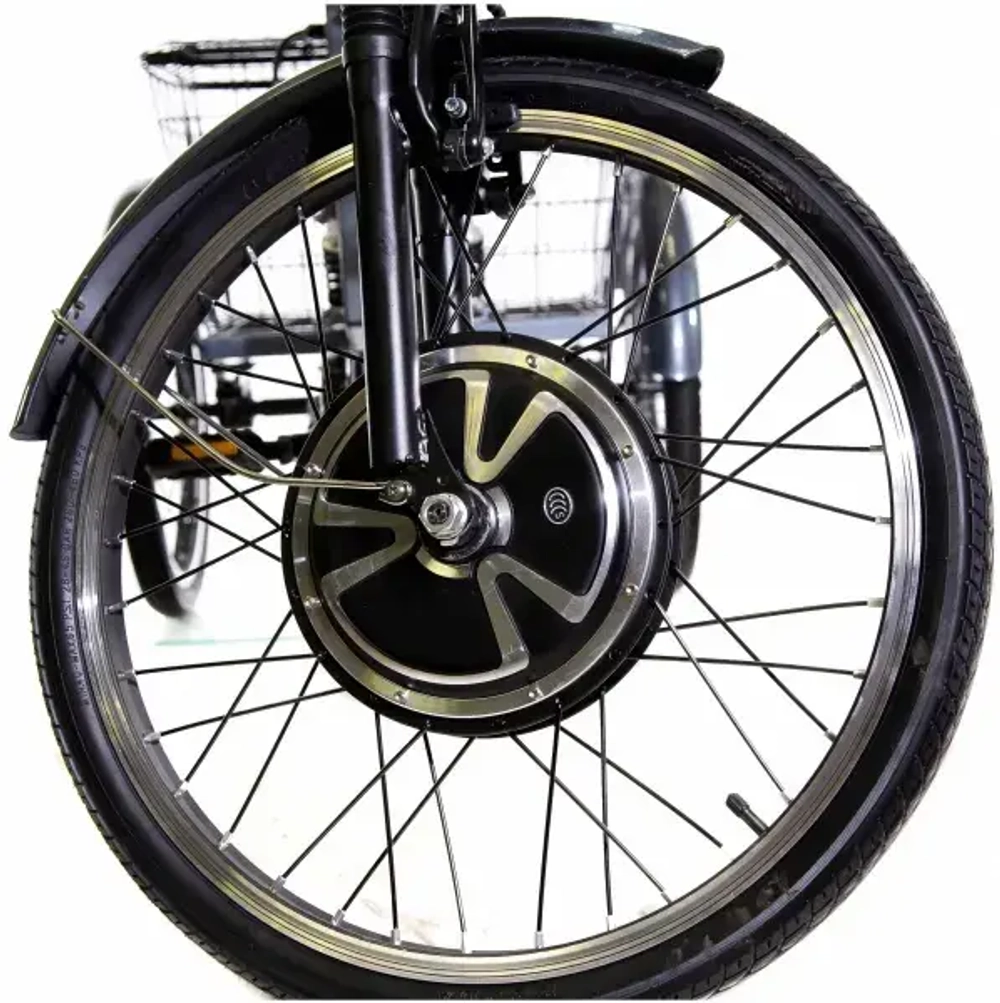 Трехколесный электровелосипед E-motions KANGOO-RU 750