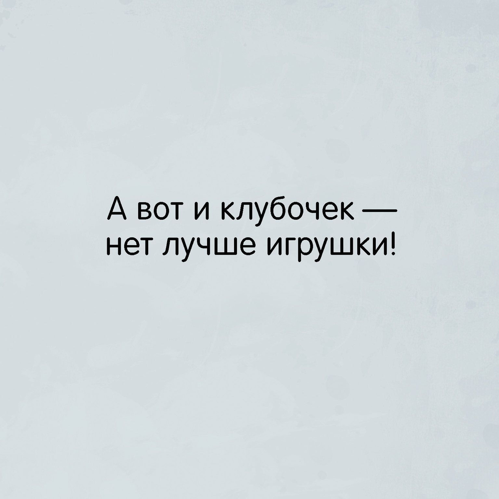 Книжка с окошками. Малыши на ферме