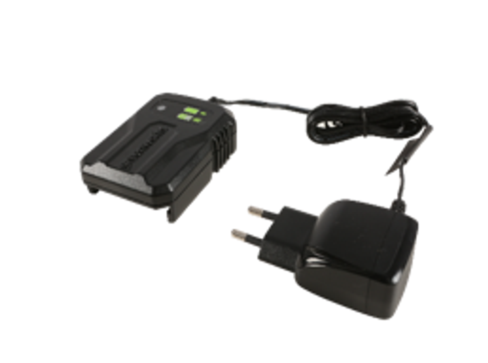 Зарядное устройство Greenworks 40v, 2A (2946507)