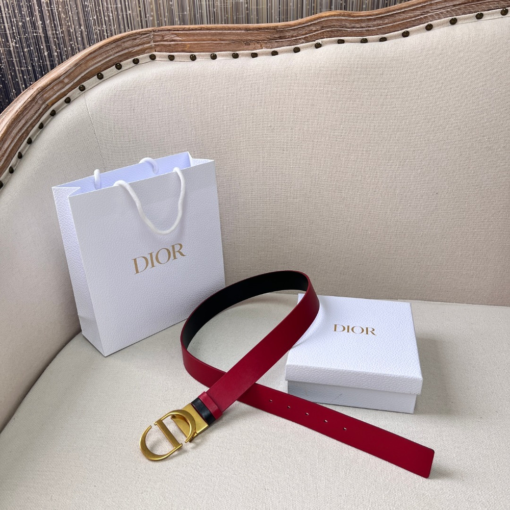 Christian Dior Belt