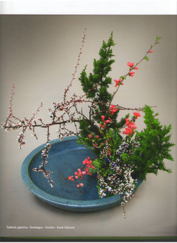 My Ikebana
