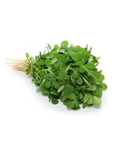Листья пажитника Nano Sri Methi Leaves, 75 г