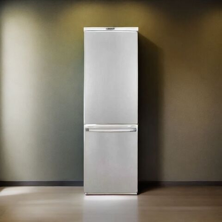 Холодильник DON R-291 NG