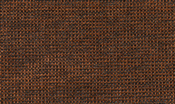 Рогожка Кассандра 04