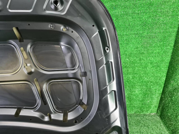 Капот Hyundai Palisade (2018-н.в.)