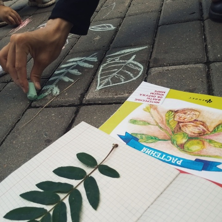 «Окружающий мир» - цикл прогулок