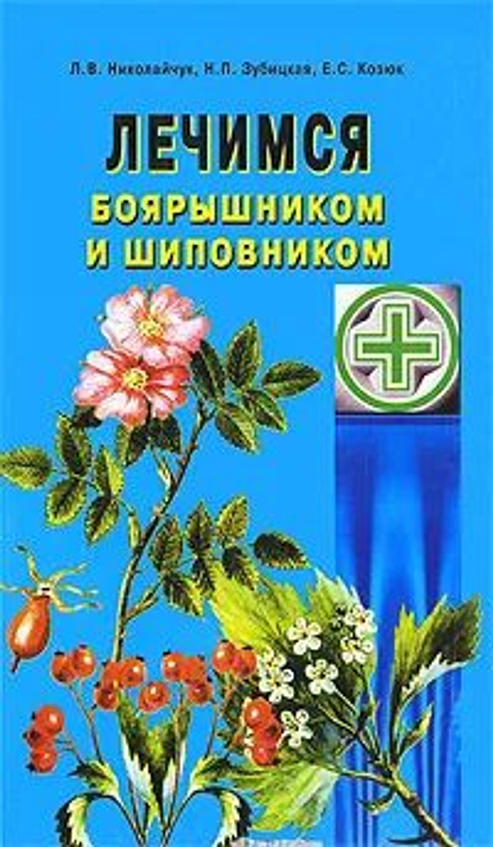 Лечимся боярышником и шиповником