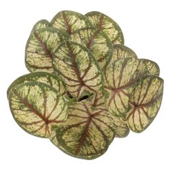 GAEM Цветочная композиция, L25 W25 H30 см, 5в.