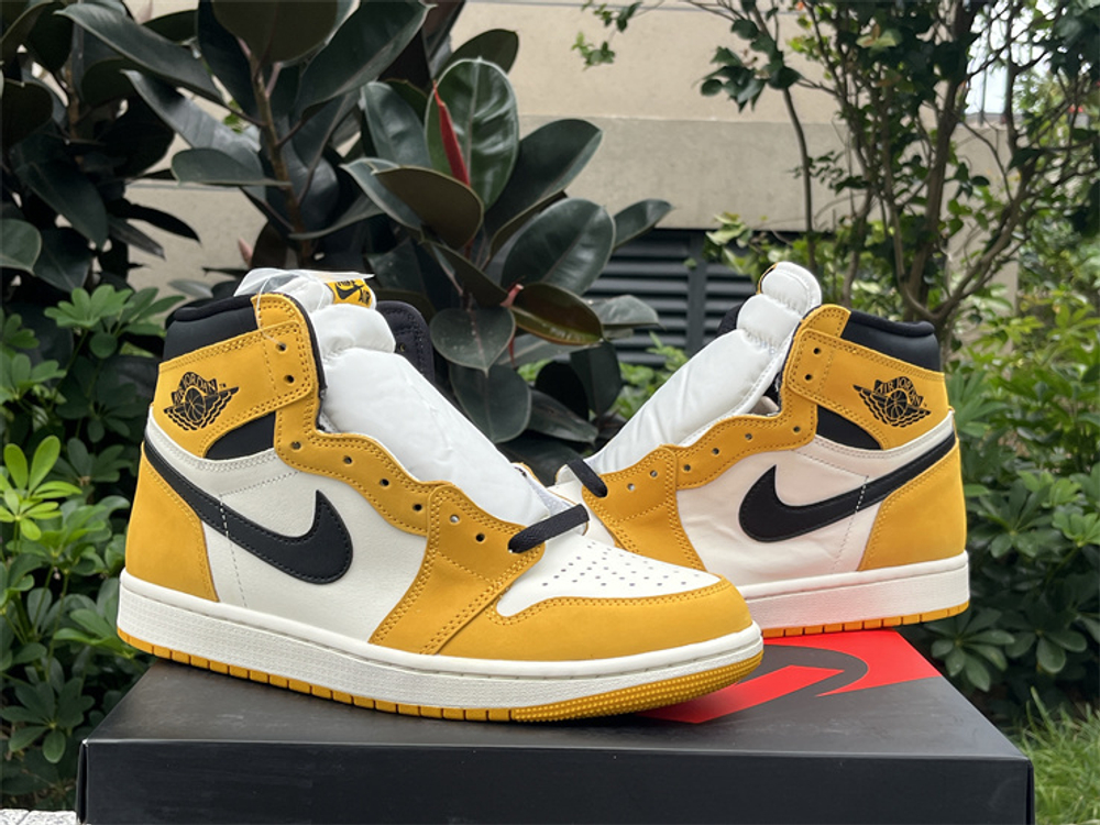 Air Jordan 1 High OG DZ5485-701