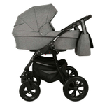 Коляска 2 в 1 Alis Berta