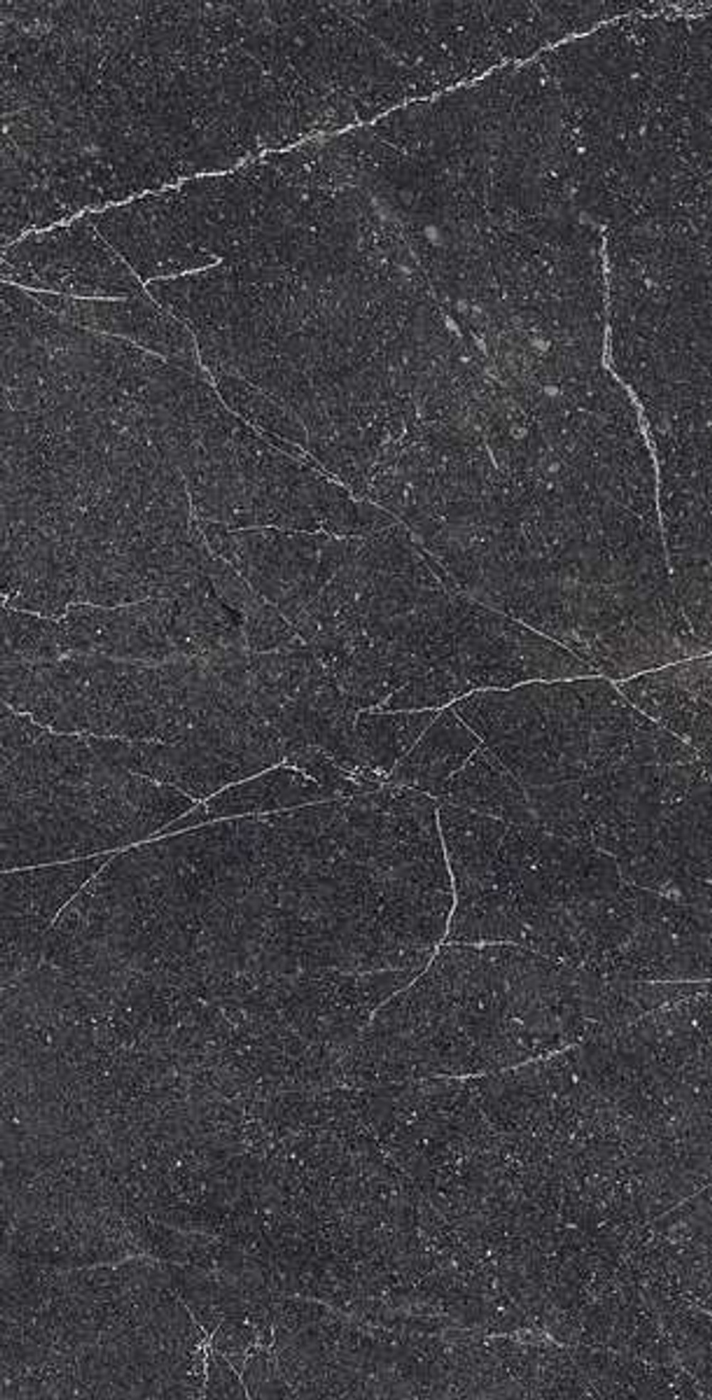 EQUISTONE CHARCOL RG6003-A