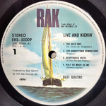 Suzi Quatro / Live And Kickin' (2LP)