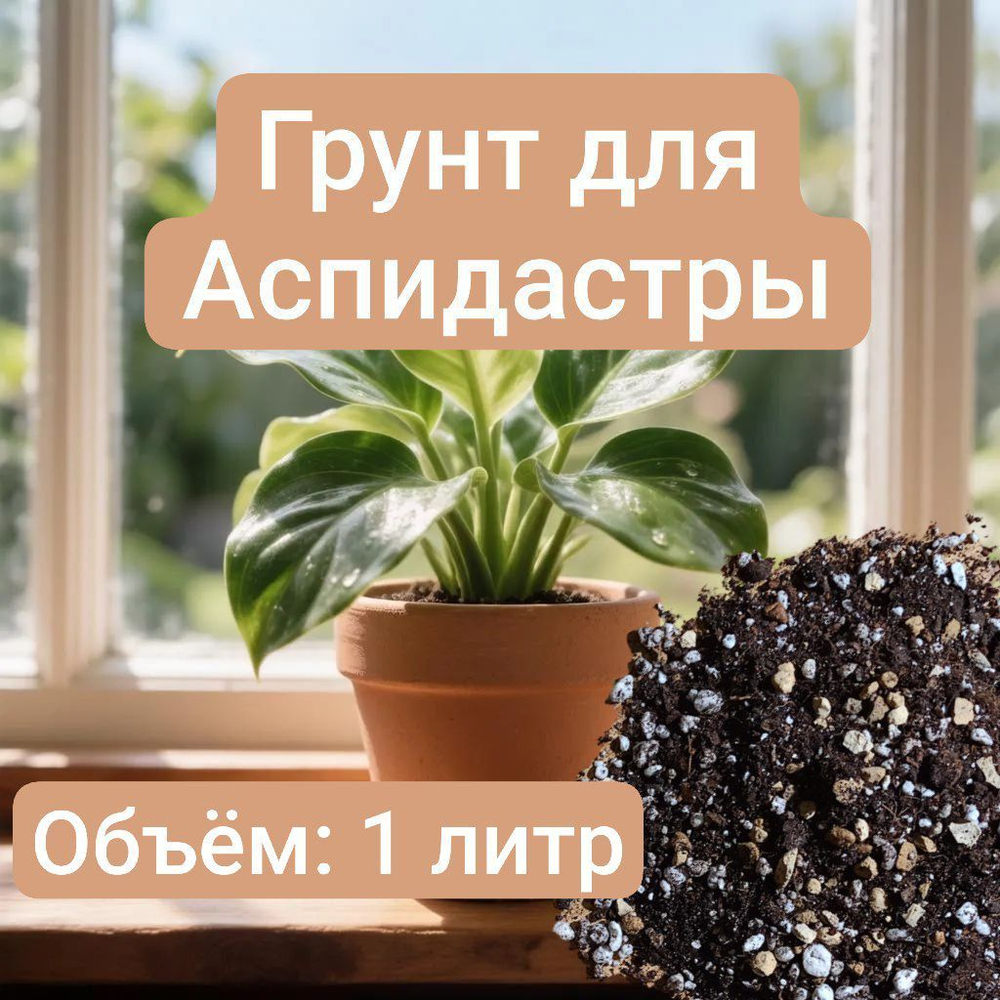 Авторский грунт для Аспидистры 1 литр  грунт универсальный 2 литра
