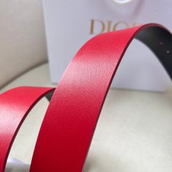 Christian Dior Belt