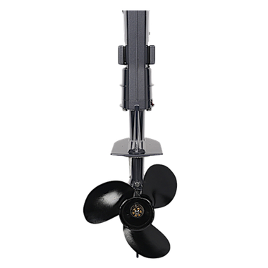 Лодочный мотор ALLFA CG F6 ( с внешним баком 12л )