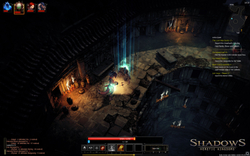 Shadows: Heretic Kingdoms (для ПК, цифровой код доступа)