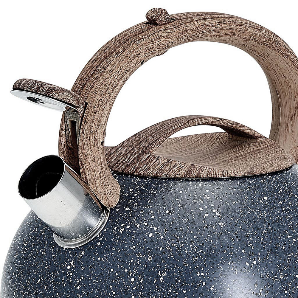 Чайник со свистком 3 л из нержавеющей стали, индукционное дно ALPENKOK AK-514/1 серый гранит, ручка светлое дерево