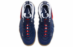 Кроссовки Nike Foamposite Pro (Женская размерная сетка)
