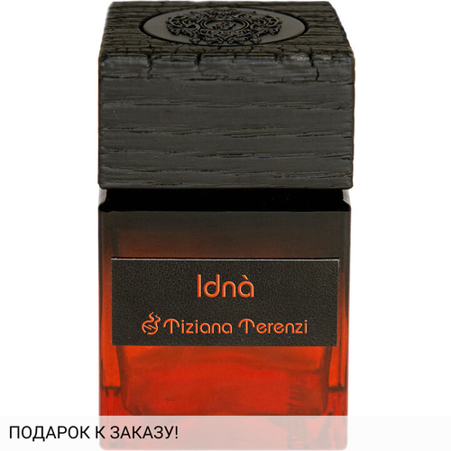 Tiziana Terenzi Idna