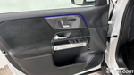 Mercedes-Benz GLB-Class X247 GLB250 4MATIC (10.2023)