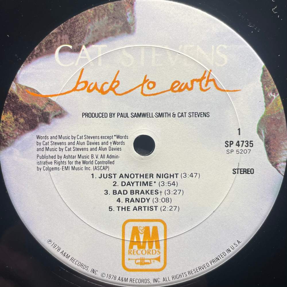 Cat Stevens ‎– Back To Earth (США 1978г.)