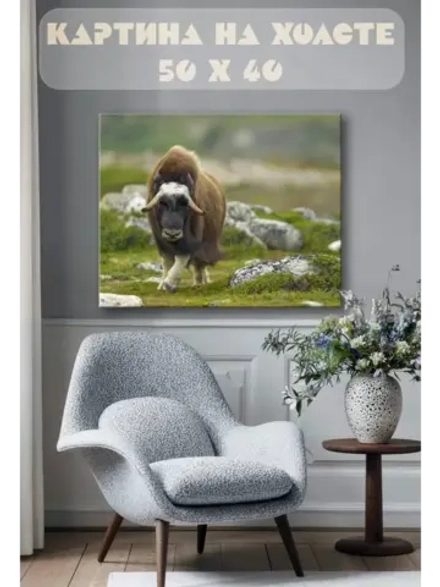 Картина на стену 40 X 50 Овцебык