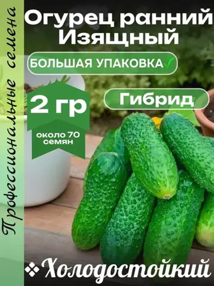 Семена Огурец Изящный Холодостойкий ранний2гр