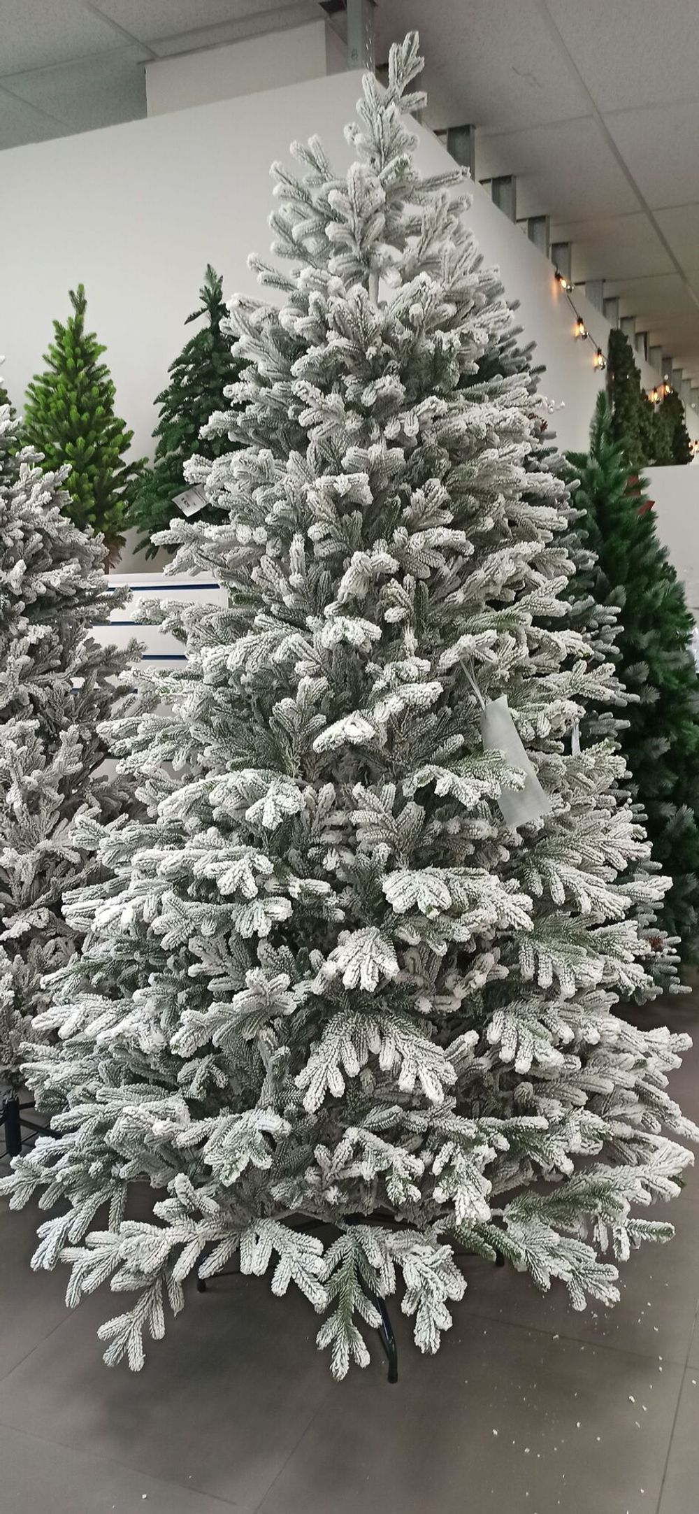 Заснеженная елка «Александрийская» (Литая хвоя) от 1.8 м до 2,4 м