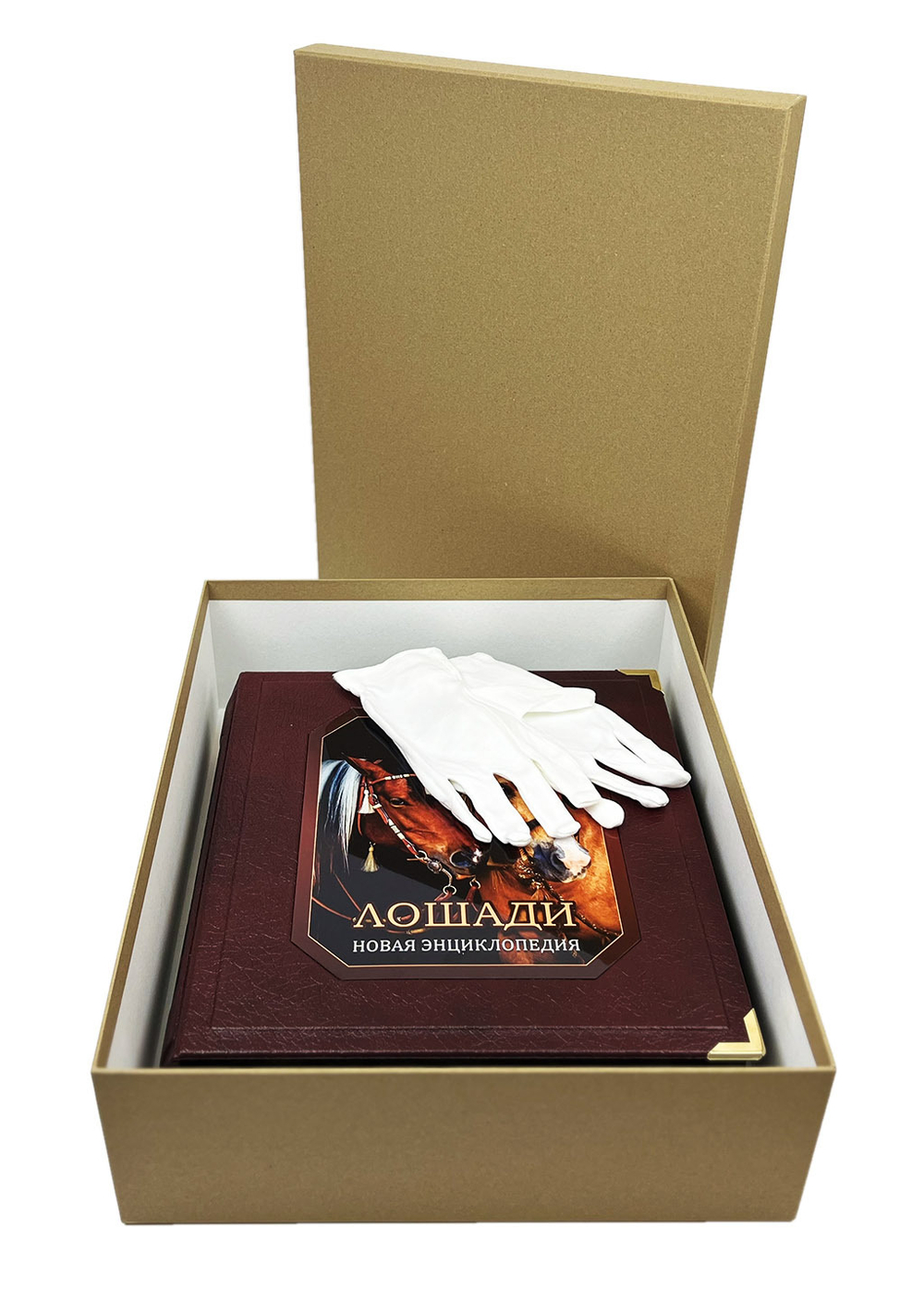 Лошади. Новая энциклопедия (в коробе)