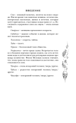 Господин Зима