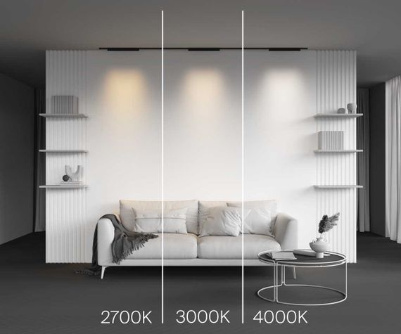 Трековый светильник Maytoni Technical TR193-1-20W4K-M-B