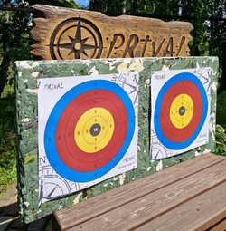 Стрелоулавливатель Prival 100х50х10 см