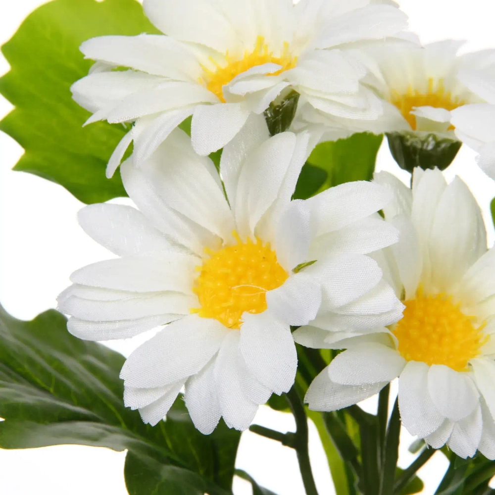 Цветочная композиция «Поцелуй лета» Хризантема белая 20см