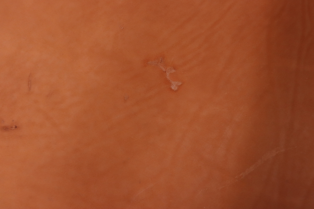 Уценка: 1,2-1,4 юфть коньяк 171 дм²