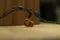 64 Audio U18t
