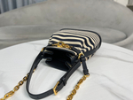 Christian Dior Medium C'est Dior Bag