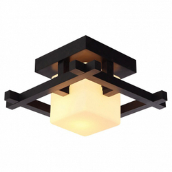 Накладной светильник Arte Lamp A8252PL-1CK