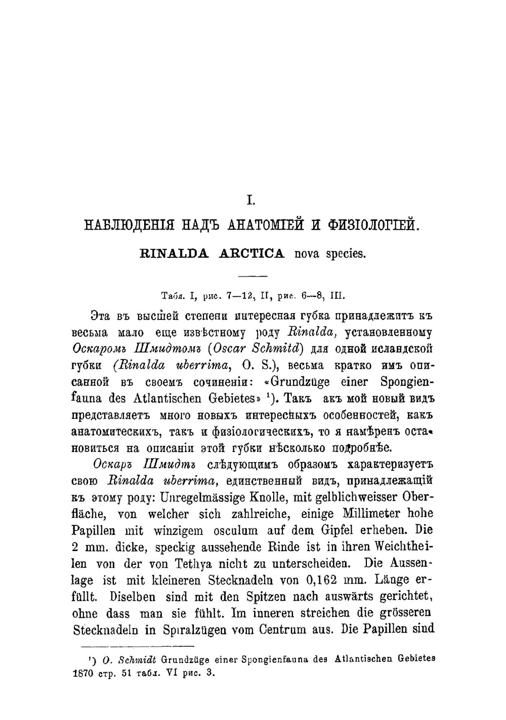 Исследования о губках Белого моря | Д. С. Мережковский