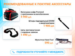 Электровелосипед GREEN CITY e-ALFA LUX