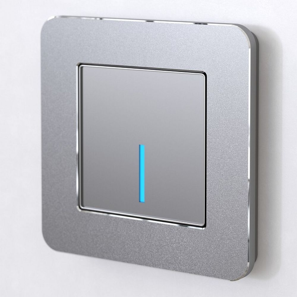 Рамка на 1 пост Werkel Platinum (алюминий) W0012606