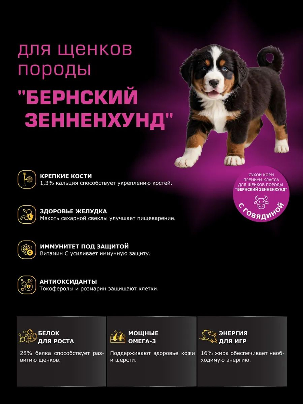 Корм сухой для щенков породы Бернский зенненхунд, с говядиной, 12 кг, QUATTRO