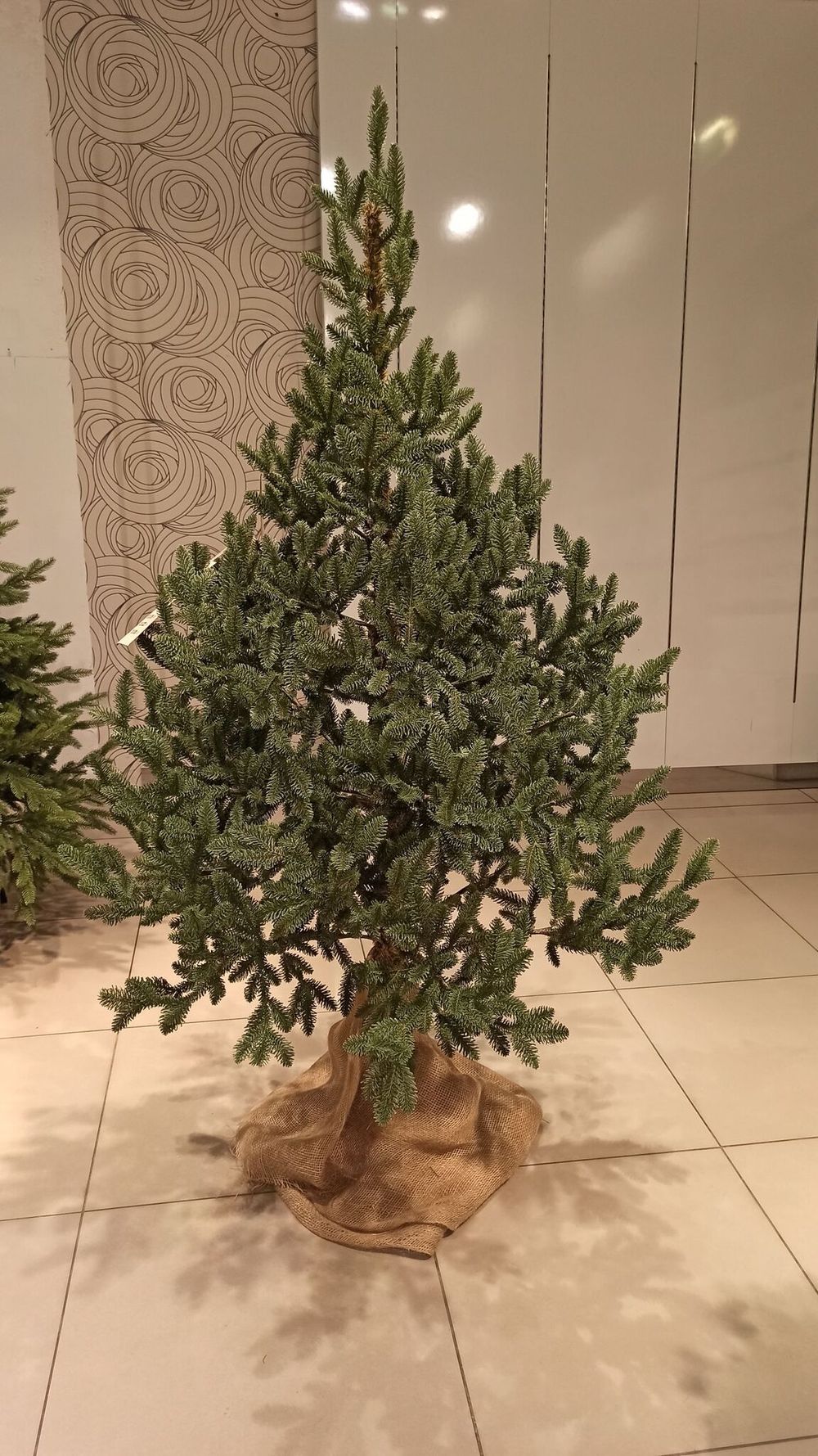 Искусственная ель на ножке «Датская» (Литая хвоя) высота от 1.2 м до 2.4 м